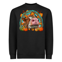 Fall Cow Rainbow Heavyweight Sweatshirt | Teevron