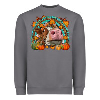 Storm Fall Cow Rainbow Heavyweight Sweatshirt - LillyAllenDesigns