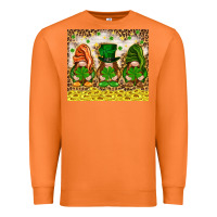 Carrot St. Patrick's Day gnomies with leopard tumbler Premium Sweatshirt - HowdyJamesFarm