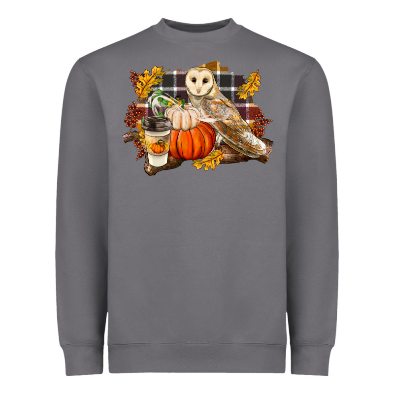Fall Barn Owl Heavyweight Sweatshirt by LillyAllenDesigns | Teevron