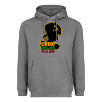 Storm Living free-ish since 1865 Heavyweight Hoodie - HowdyJamesFarm