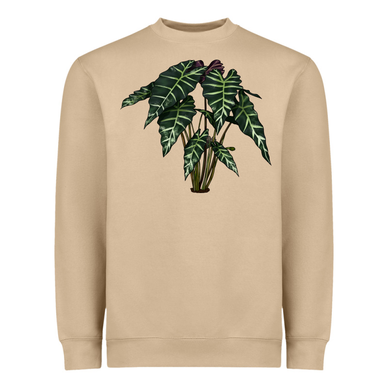 Amazon Elephant Ear Heavyweight Sweatshirt by LillyAllenDesigns | Teevron