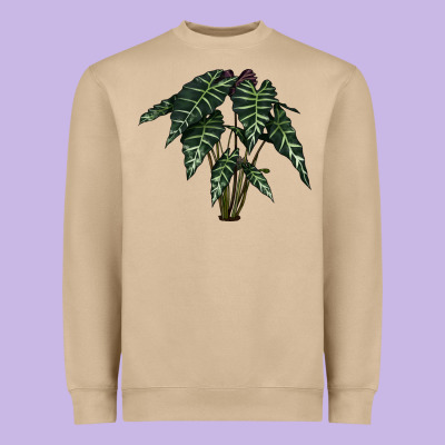 Amazon Elephant Ear Heavyweight Sweatshirt Designed By Lillyallendesigns