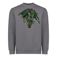 Storm Amazon Elephant Ear Heavyweight Sweatshirt - LillyAllenDesigns