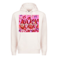 Pale Pink Love gnomies with gift boxes tumbler Premium Hoodie - HowdyJamesFarm