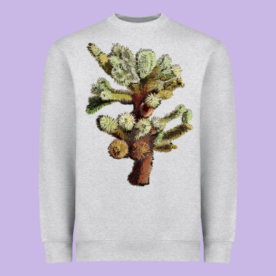 Cholla Tree Cactus Heavyweight Sweatshirt Designed By Lillyallendesigns