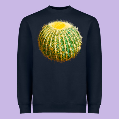 Golden Barrel Cactus Heavyweight Sweatshirt Designed By Lillyallendesigns