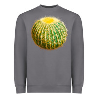 Storm Golden Barrel Cactus Heavyweight Sweatshirt - LillyAllenDesigns