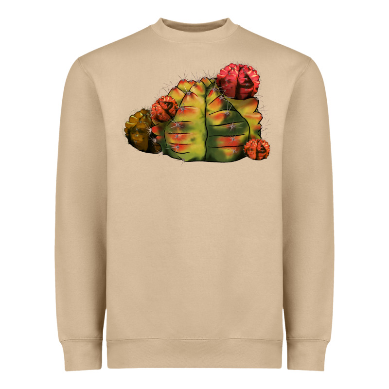 Gymnocalycium Variegated Cactus Heavyweight Sweatshirt by LillyAllenDesigns | Teevron