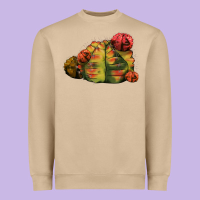Gymnocalycium Variegated Cactus Heavyweight Sweatshirt Designed By Lillyallendesigns