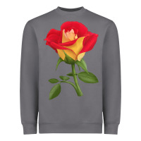 Storm Ketchup And Mustard Rose Heavyweight Sweatshirt - LillyAllenDesigns