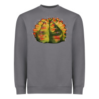 Storm Gymnocalycium Variegated Cactus Heavyweight Sweatshirt - LillyAllenDesigns