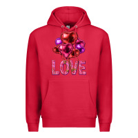 Cardinal Love heart balloons Valentine's Day Premium Hoodie - HowdyJamesFarm