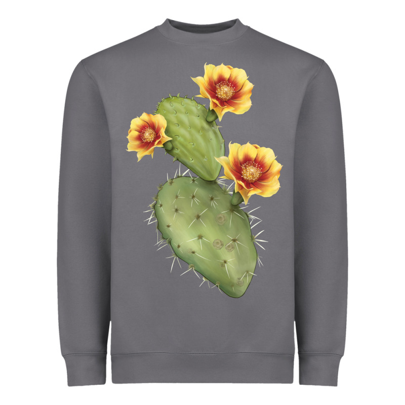 Opuntia Phaeacantha Cactus Heavyweight Sweatshirt by LillyAllenDesigns | Teevron