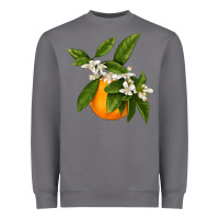 Storm Tangerine Heavyweight Sweatshirt - LillyAllenDesigns