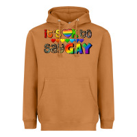 Meerkat It's okay to say Gay pride Heavyweight Hoodie - CowGirlArtShop