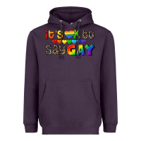 Plum It's okay to say Gay pride Heavyweight Hoodie - CowGirlArtShop
