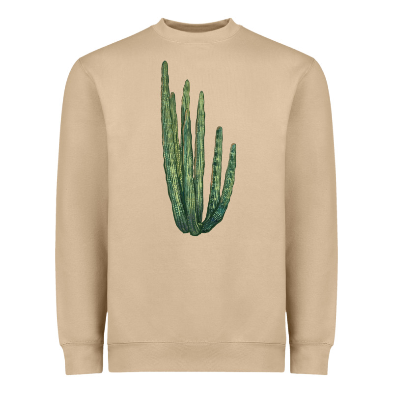 Organ Pipe Cactus Heavyweight Sweatshirt by LillyAllenDesigns | Teevron
