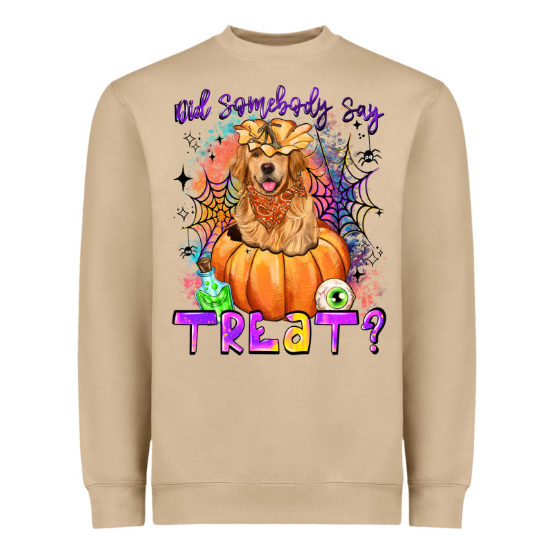 Did Somebody Say Treat Heavyweight Sweatshirt by LillyAllenDesigns | Teevron