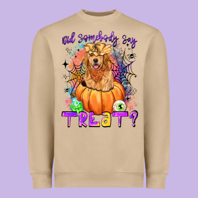 Did Somebody Say Treat Heavyweight Sweatshirt Designed By Lillyallendesigns