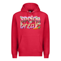 Cardinal Spring break Easter Day Premium Hoodie - HowdyJamesFarm