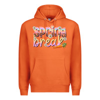 Carrot Spring break Easter Day Premium Hoodie - HowdyJamesFarm