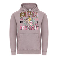Vintage Zinc cupid university Vintage Hoodie - MaliasSmallBusiness