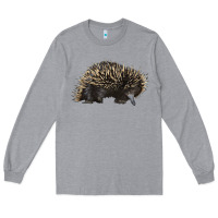Heather Grey short beaked echidna Long Sleeve Tee - LillyAllenDesigns