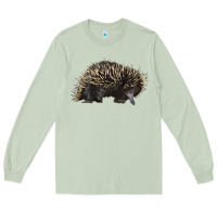 Matcha short beaked echidna Long Sleeve Tee - LillyAllenDesigns