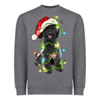 Storm christmas black poodles dog Heavyweight Sweatshirt - LillyAllenDesigns