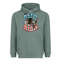 Sage American Eagle Heavyweight Hoodie - HowdyJamesFarm