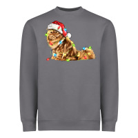 Storm christmas persian cat Heavyweight Sweatshirt - LillyAllenDesigns