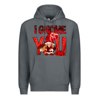Rock I gnome you with roses Valentine's Day Premium Hoodie - HowdyJamesFarm