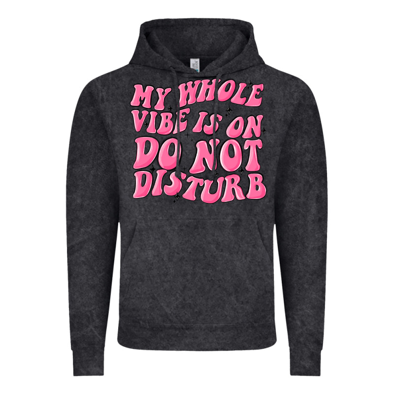 My Whole Vibes On Do Not Disturb Vintage Hoodie by MaliasSmallBusiness | Teevron