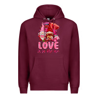 Love Is In The Air With Gnomies Valentine's Day Premium Hoodie | Teevron