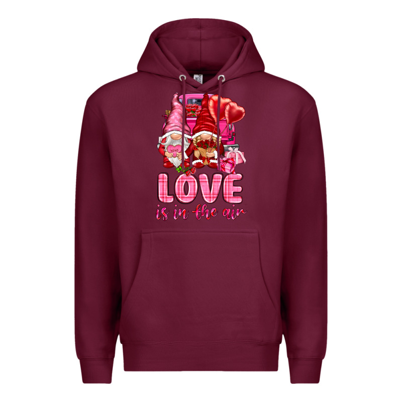 Love Is In The Air With Gnomies Valentine's Day Premium Hoodie by HowdyJamesFarm | Teevron