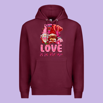 Love Is In The Air With Gnomies Valentine's Day Premium Hoodie Designed By Howdyjamesfarm