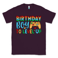 Plum birthday boy to level up Classic Tee - JahusDesignShop