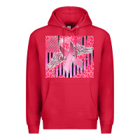 Cardinal cancer awareness american flag Premium Hoodie - CowGirlArtShop