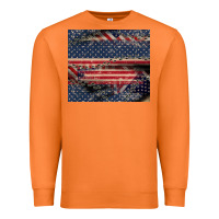 Carrot American flag stitches Premium Sweatshirt - CowGirlArtShop