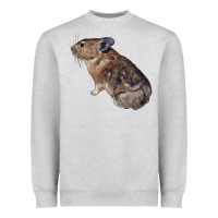 Heather Grey pika Heavyweight Sweatshirt - LillyAllenDesigns