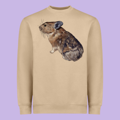Pika Heavyweight Sweatshirt Designed By Lillyallendesigns