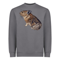 Storm pika Heavyweight Sweatshirt - LillyAllenDesigns