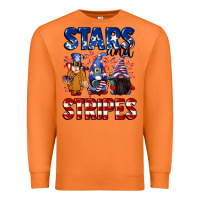 Carrot Stars and stripes gnomes 4th of july Premium Sweatshirt - CowGirlArtShop