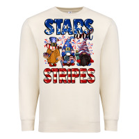 Sandshell Stars and stripes gnomes 4th of july Premium Sweatshirt - CowGirlArtShop