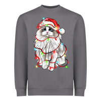 Storm christmas ragdoll cat Heavyweight Sweatshirt - LillyAllenDesigns