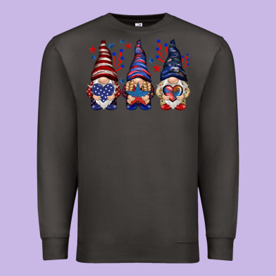 4th Of July Gnomies With Stars Premium Sweatshirt Designed By Howdyjamesfarm