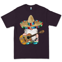 Mexican Gnomes Guitar Sombrero Serape Premium Tee | Teevron