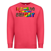 Cardinal It's okay to say Gay pride Premium Sweatshirt - CowGirlArtShop