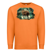 Carrot Stay wild night Grizzly Bear Premium Sweatshirt - HowdyJamesFarm